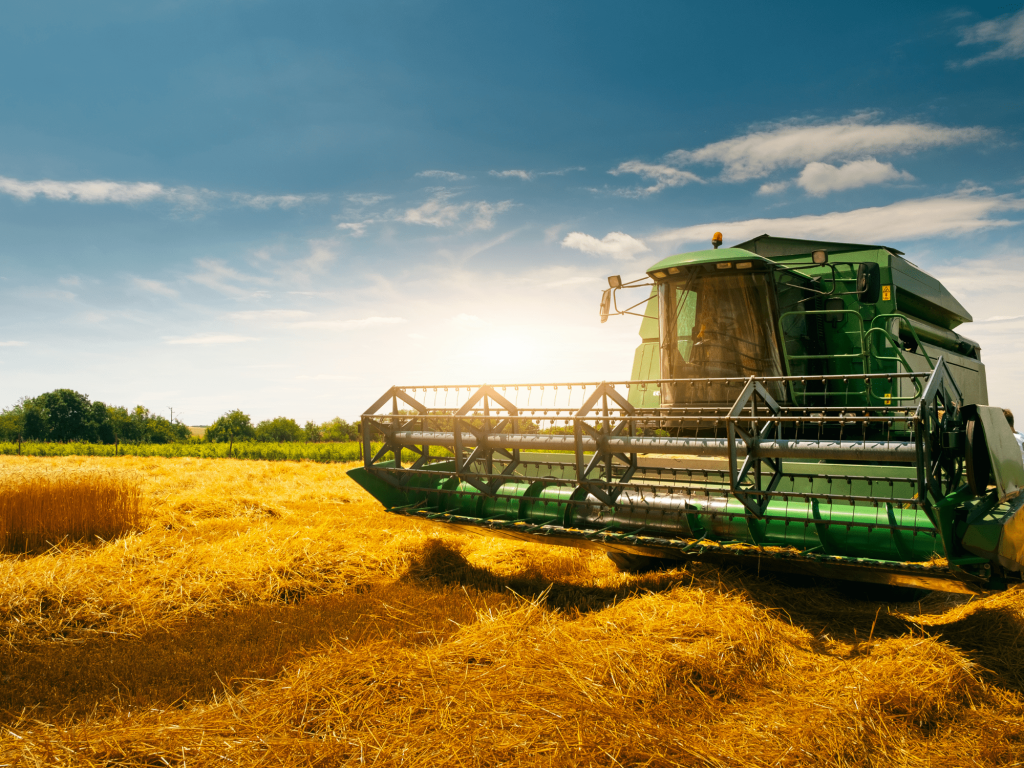 louis thivat expert en transmission d'entreprise-min